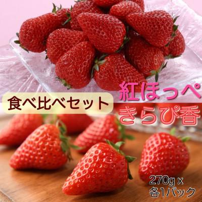 ふるさと納税 浜松市 静岡いちご贅沢食べ比べセット　各1パック