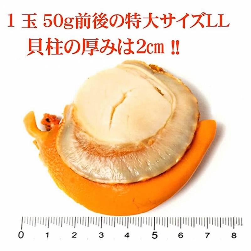 ホタテほたて 帆立 t特大ボイルホタテ1.0 kg  LLサイズ 18粒前後 北海道産