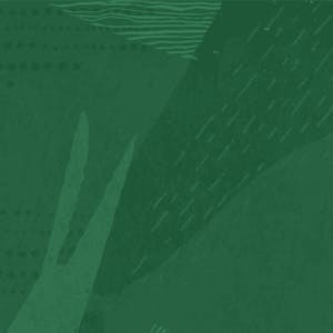 Oracle Cloud and  AI Specialization Program