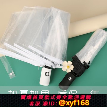 {可打統編 保固一年}透明雨傘折疊全自動女白色日系網紅雨傘大號雙人加固加大拍照長柄