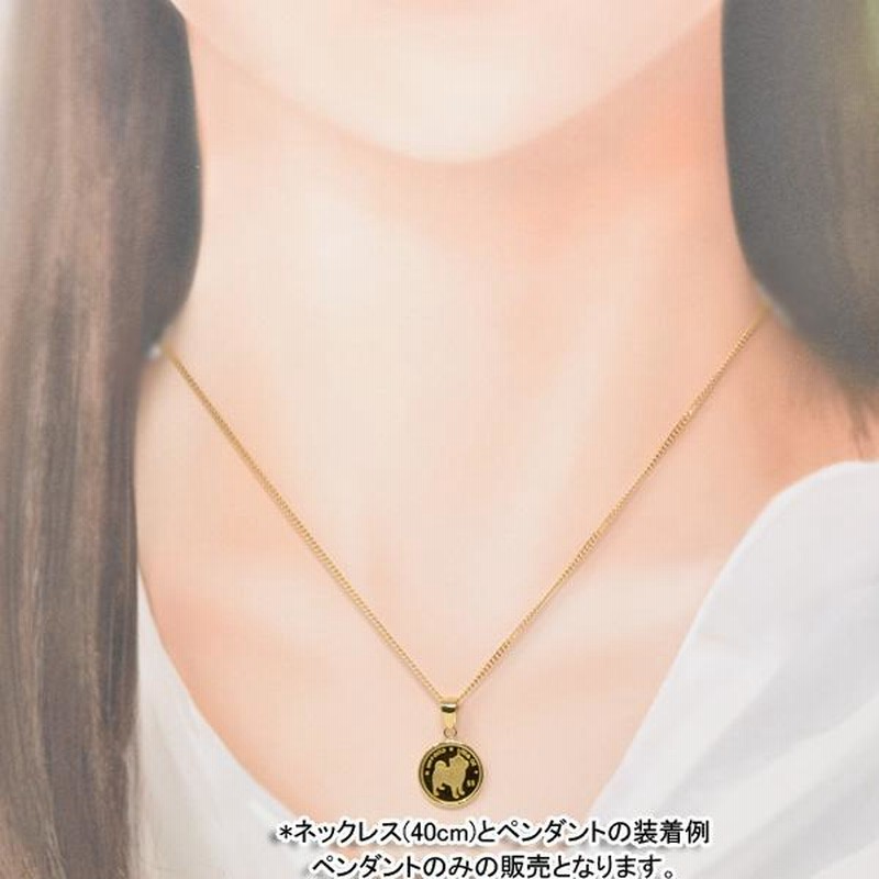 2022年 限定 コイン DOG COIN 犬 豆柴 柴犬 コイン ペンダント