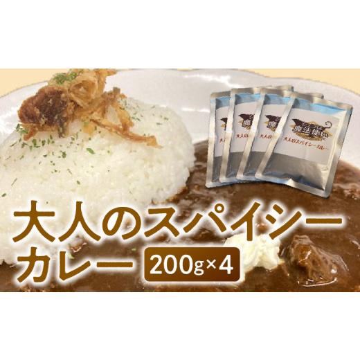 ふるさと納税 福岡県 久留米市 大人のスパイシーカレー200g×4