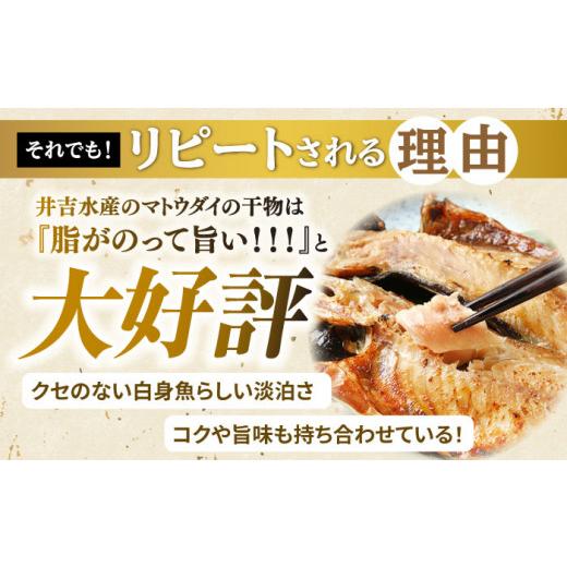 ふるさと納税 長崎県 平戸市 平戸 干物 5種セット 計16枚 平戸市 ／ 井吉水産 [KAA074]