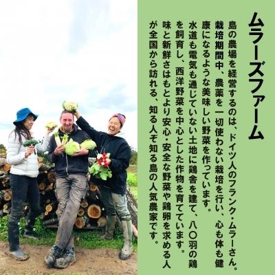 ふるさと納税 海士町 季節の野菜詰め合わせ(5〜6種)