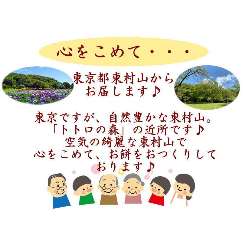 のし餅 通販 切り餅 送料無料 新潟産こがねもち のし餅2枚分（９個入×8袋) 無添加 真空パックでお届け のし餅を切りました