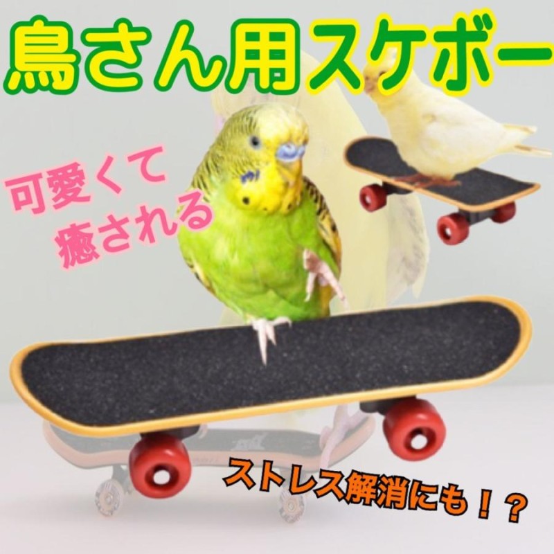 ミニ スケートボード 鳥用 小鳥 バードトイ ストレス解消 玩具 ミニ玩具