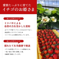 香川県オリジナル品種！ さぬきひめ苺 400g 化粧箱入り 年内受付