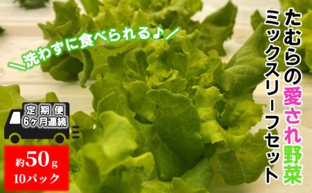 洗わずに食べられる！たむらの愛され野菜 ミックスリーフセット　10個