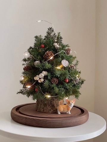 【不凋花乾燥花】可愛寵物玻璃盅罩不凋雪松聖誕樹