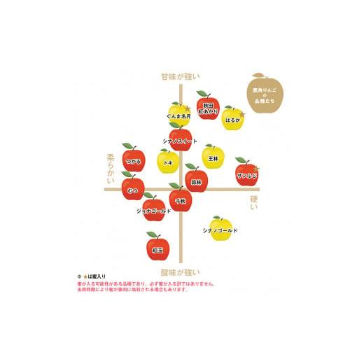 ふるさと納税 秋田県 鹿角市 《極》葉取らずりんご！ 3〜5品種 詰め合わせ 5kg（16〜20玉）品種おまかせ　葉とらず はとらず 林檎 リンゴ りんご 完…