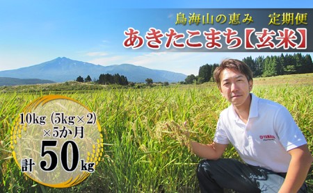 10kg×5ヶ月 鳥海山の恵み 農家直送！ あきたこまち（玄米・5kg×2袋）