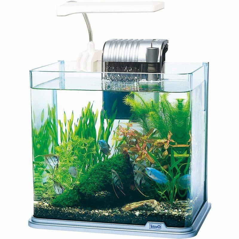 Tetraラクラクお手入れ金魚セットL ＆ LEDライト /スターターセット