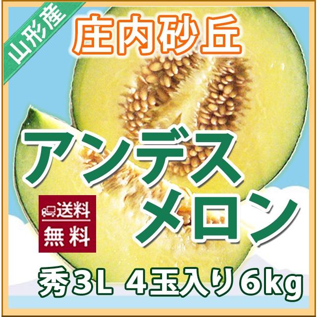 メロン アンデスメロン 秀３Ｌ ４個入り 庄内砂丘メロン 送料無料 お中元 山形メロン 庄内メロン 農産物 送料無料