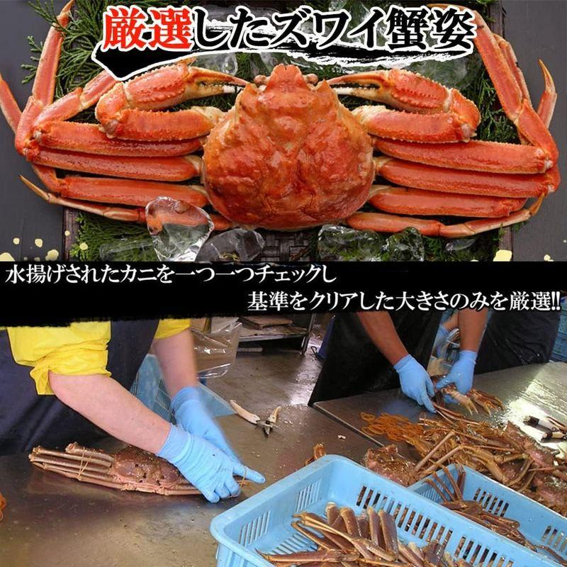 ボイルずわい蟹姿(1.5kg) shr-012