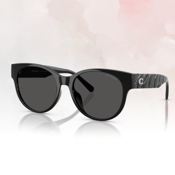 【COACH】圓形膠框太陽眼鏡(HC8430D-500287)