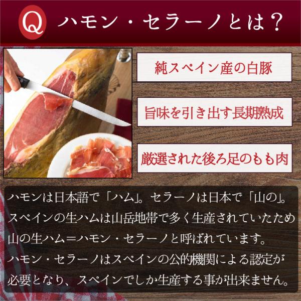 ポイント消化 送料無料 おつまみ 『スペイン産ハモンセラーノ 100g』ぽっきり お試し