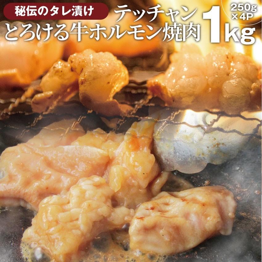 焼肉 牛肉 肉 ホルモン テッチャン モツ シマチョウ 1kg 250g×4袋 バーベキュー 焼くだけ