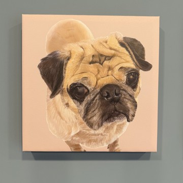 無框掛畫 | 巴哥 |  30x30 公分