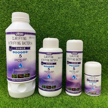 【彼得貓水族】伊士達 淨水硝化菌(新配方)120ml.240ml.500ml.1000ml ISTA
