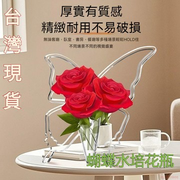 高級感透明蝴蝶花瓶 玄關桌面插花器 擺件 亞克力ins風蝴蝶造型花瓶 亞克力相框花瓶 水培插花器 透明花瓶  客廳飾品擺