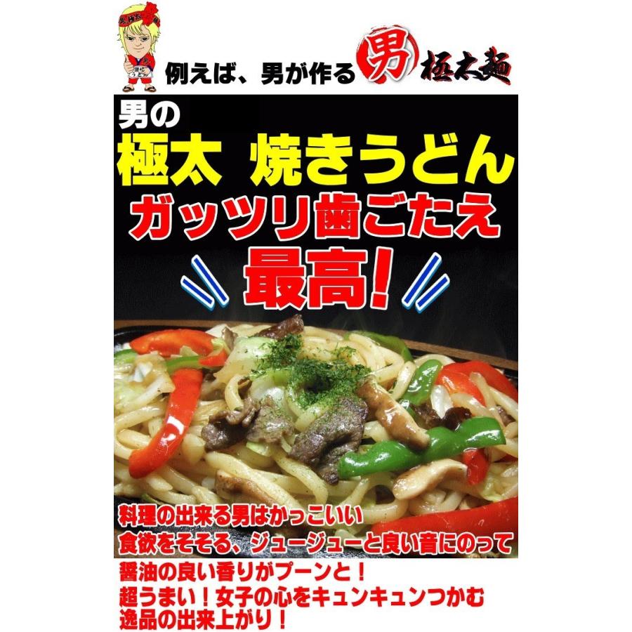 送料無料 うどん 男の極太 麺 6〜8人前セット完熟半生 讃岐うどん ネコポス お試し 讃岐 送料無 食品 激安