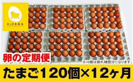 12ヵ月連続お届け　美ら卵養鶏場の卵　各月120個