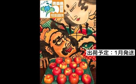 1月発送 訳あり 家庭用 葉とらずサンふじ 約5kg 青森県特別栽培農産物認証農園