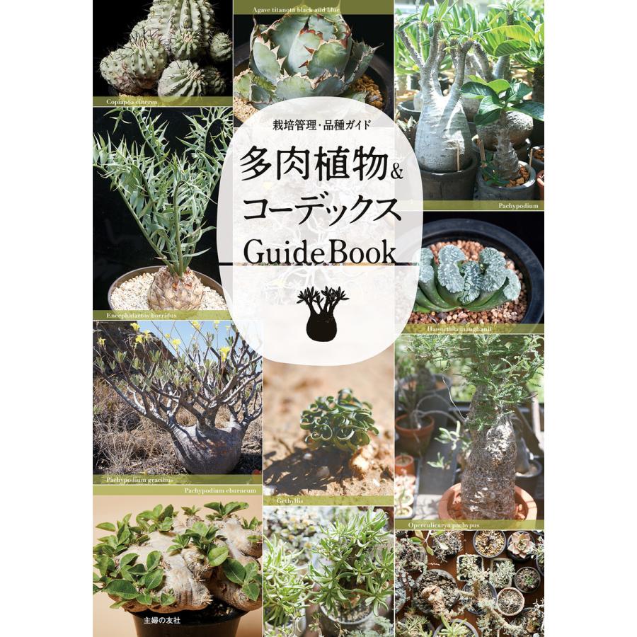 多肉植物 コーデックス GuideBook