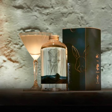 【情人節禮物】【ALCOPARK】Dr. Aviation塵酒夜行調酒洗髮精