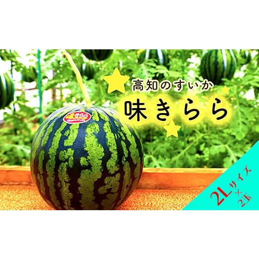 ふるさと納税 高知県 いの町 ★5月初旬まで！★すいか（味きらら）2玉　２Lサイズ