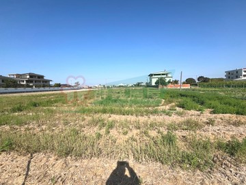 承義漁伯彰化秀水臨路美農地｜彰化縣秀水鄉金興段