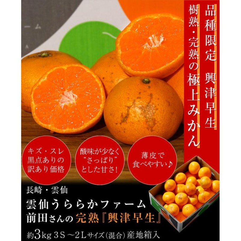 みかん ミカン 蜜柑 長崎県産 雲仙うららかファーム 前田さんの興津 