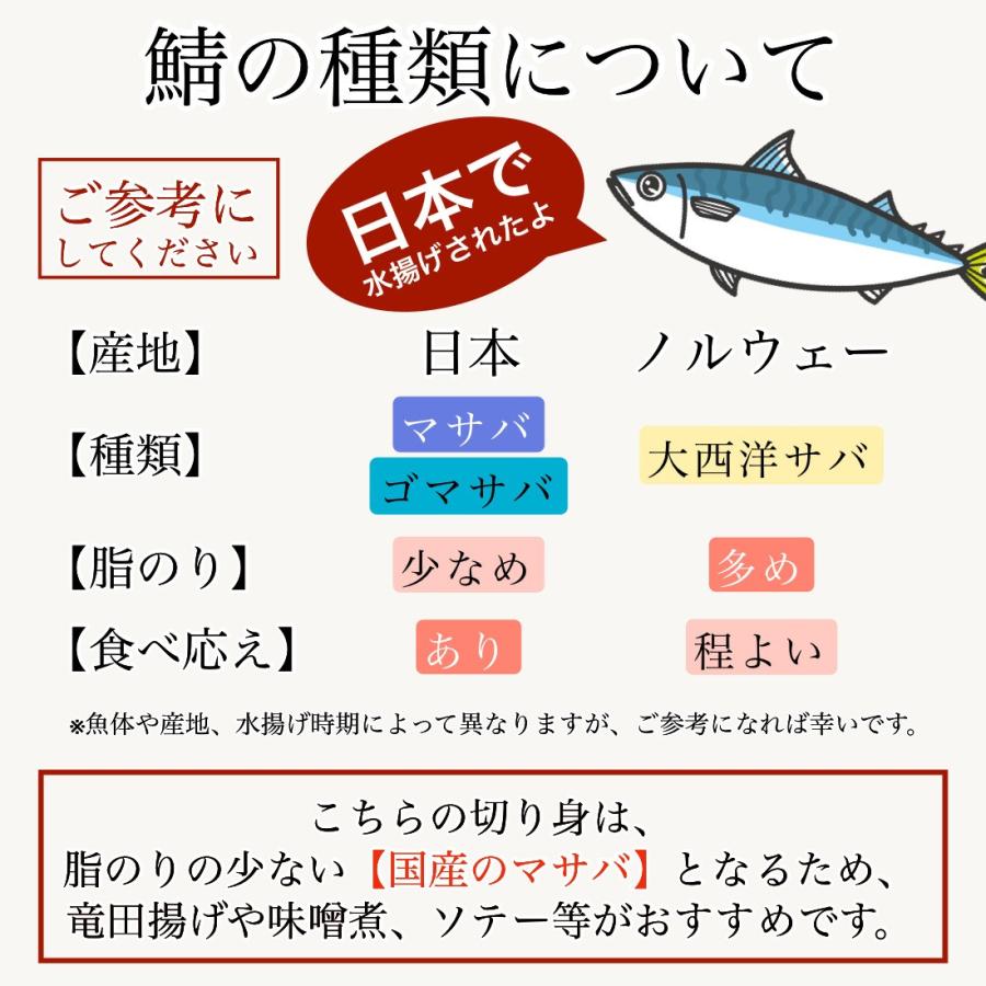 国産 甘塩 鯖 切り身 100g×8切 魚 骨取り 骨なし さば 国内加工 手切り そのまま食べても塩辛くない うす塩仕立て 冷凍 加熱用