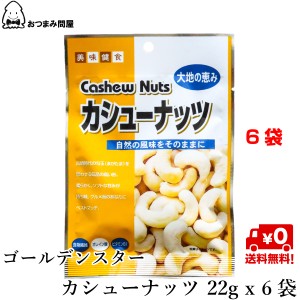 博屋 送料無料 ナッツ カシューナッツ 塩味 ＧＳカシューナッツ 22g x 6袋