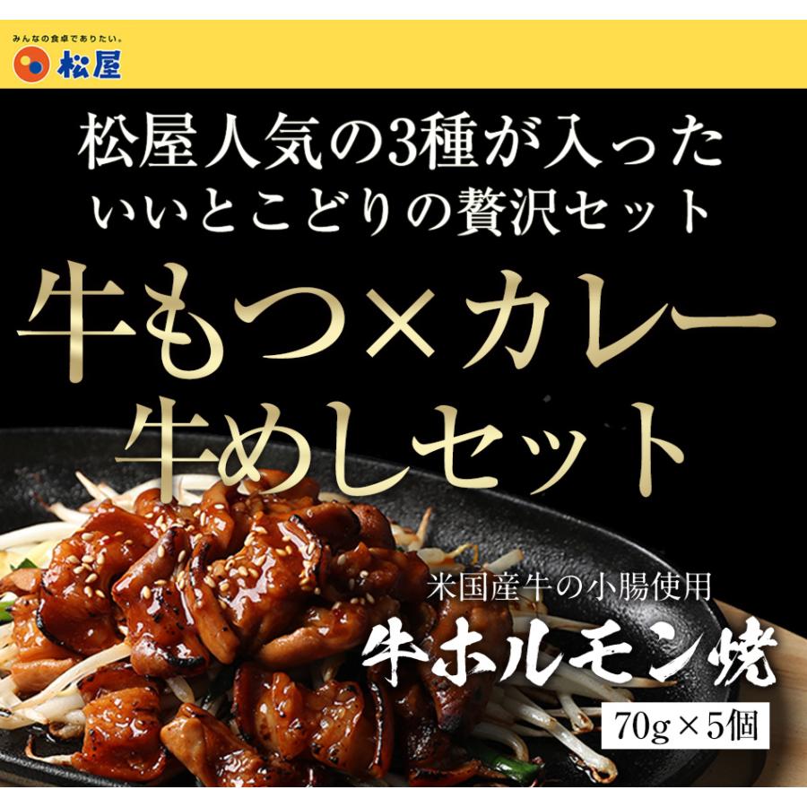 牛丼 牛丼の具 牛ホルモン焼き5個＆松屋オリジナルカレー15袋＆牛めしの具〜プレミアム仕様〜10個セット 通販限定発売 肉 絶品 仕送り 業務用 食品 おかず