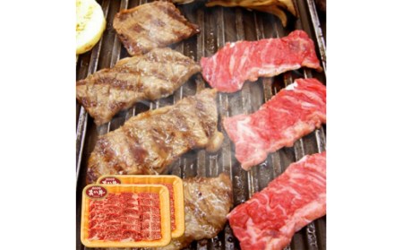 熊本県産 あか牛 カルビ 焼肉用 合計600g (300g×2パック) 肉 お肉 牛肉 和牛 褐毛和牛