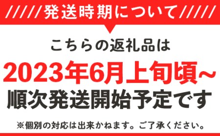 12-25茨城県産大玉すいか1玉（約6～7kg）