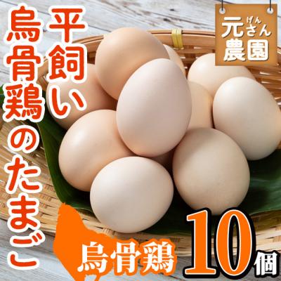 ふるさと納税 佐伯市 元さん農園 平飼い烏骨鶏のたまご (計10個)