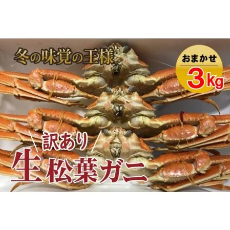 ふるさと納税 訳あり松葉がに 生 3kg  訳ありカニおまかせセット 松葉ガニ 松葉がに かに カニ 蟹 生 新鮮 かに カニ 蟹かに カニ 蟹 生 鳥取県倉吉市