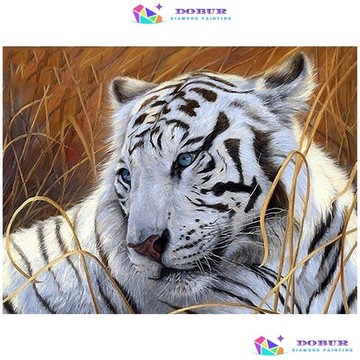 快速出貨 台灣現貨DOBUR5D DIY 鑽石畫數字編號貼鑽畫白虎動物圓家居裝飾鑽石貼畫 Paint