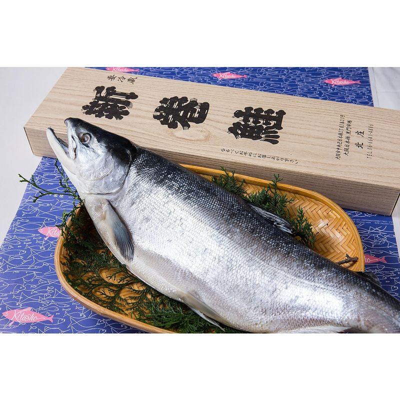 『北海道産』本紅鮭１尾(2.0kg) 姿