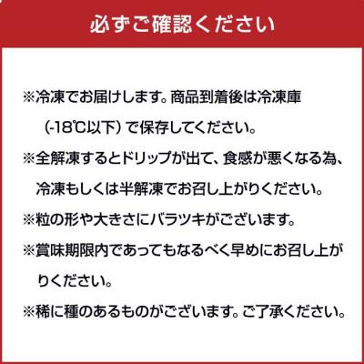 ふるさと納税 八女市  かの蜂の冷凍フルーツ 種なし巨峰  1kg(500g×2袋)