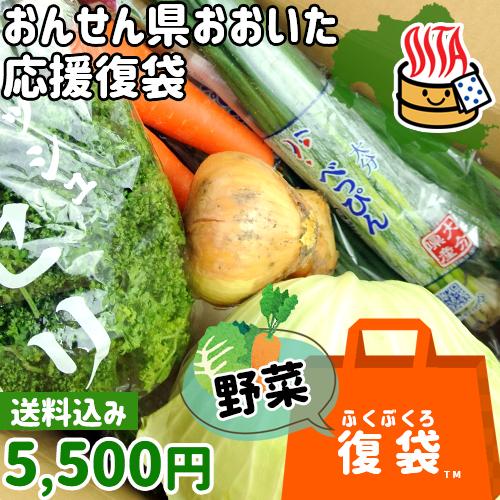 応援企画 新鮮な野菜詰め合わせを産地直送でお届け 野菜詰め合わせセット 爽食柑株式会社  送料無料