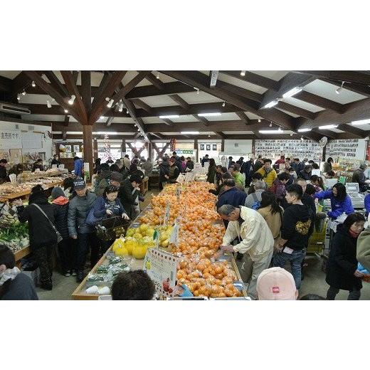 ふるさと納税 静岡県 南伊豆町 湯の花　旬のフルーツセット２か月間の定期便