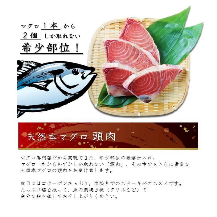 マグロ まぐろ 天然本マグロ頭肉 100g×4枚 希少部位 脳天 つのトロ