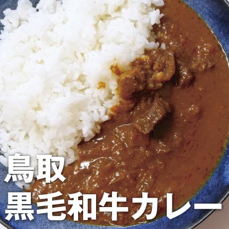 ギフト プレゼント 鳥取黒毛和牛カレースパイシーカレー フルーティー レトルトカレー