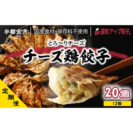 ふるさと納税 『定期便』宇都宮餃子　チーズ鶏餃子20個　保存料不使用　全12回 栃木県宇都宮市