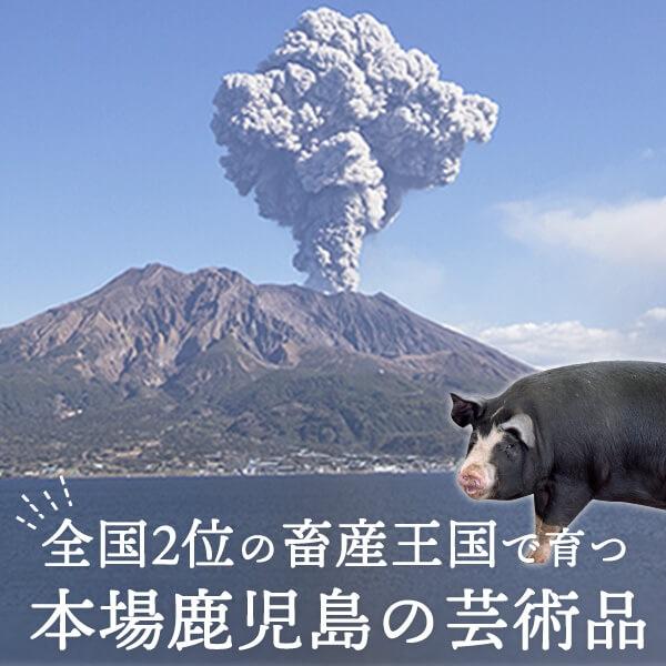 グルメ 肉 豚肉 黒豚 かごしま黒豚 鹿児島 バラ肉 300g しゃぶしゃぶ すき焼き