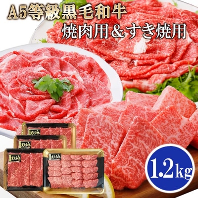 鹿児島県産A5等級黒毛和牛焼肉用すき焼用(合計1.2Kg) DD-151