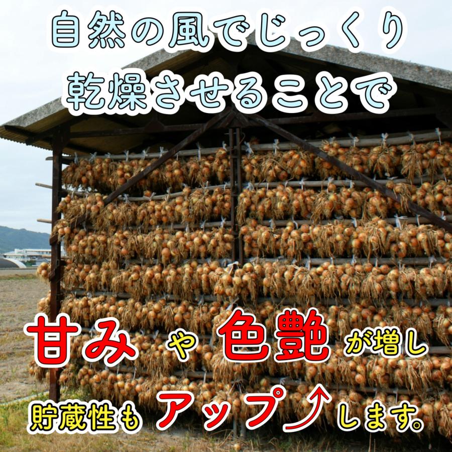 淡路島産 玉ねぎ 5ｋｇ 兵庫県産 たまねぎ 玉葱 タマネギ 常備野菜